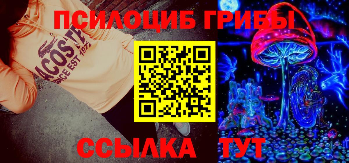 Мурманск  Галлюциногенные грибы Cubensis  хочу наркоту  Вход с VPN 