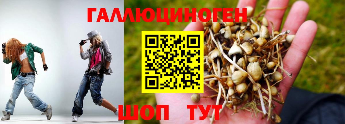 Галлюциногенные грибы Cubensis Мурманск